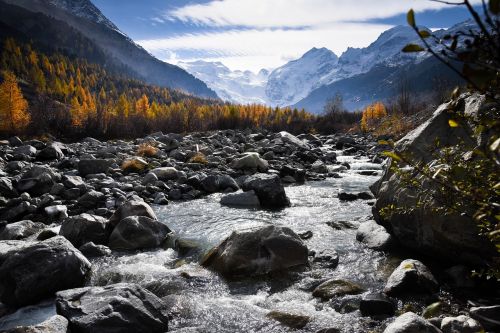 Ruduo, Maumedis, Lapės Spalvos Spalva, Kritimo Spalva, Aukso Ruduo, Engadin