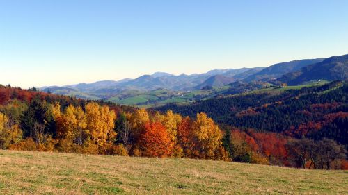 Ruduo, Rudens Nuotaika, Rudens Miškas, Atsiras, Kritimo Spalva, Aukso Ruduo, Kraštovaizdis, Gamta, Miškas