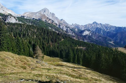 Ruduo, Kritimas, Kalnai, Gamta, Akmenys, Dangus, Medžiai, Mediena