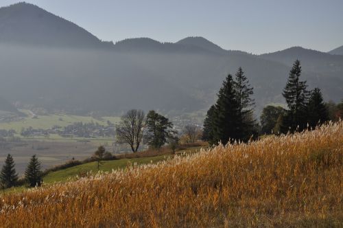 Ruduo, Saulė, Kraštovaizdis, Kalnai, Medžiai, Laukas, Rūkas, Gamta