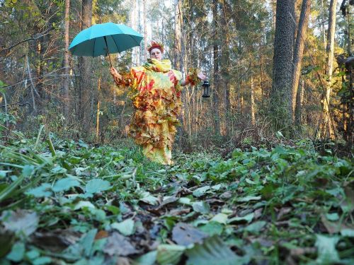 Ruduo, Miškas, Gamta, Rudens Miškas, Aukso Ruduo, Nuotrauka, Rudens Lapai, Mergaitė, Nemokama Nuotrauka, Gyvoji Gamta, Vaikščioti