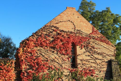 Ruduo, Balaton Ežeras, Lapai, Romantiškas, Šviesa