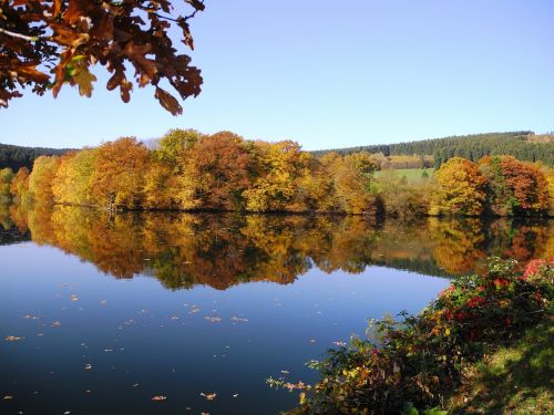 Ruduo, Ežeras, Kritimo Lapija, Lapai, Spalvinga, Veidrodis