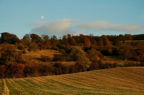 Ruduo, Kritimas, Gamta, Mėnulis, Twilight, Kraštovaizdis