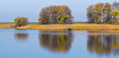 Ruduo, Ramus, Ežeras, Veidrodis, Atspindys, Vanduo