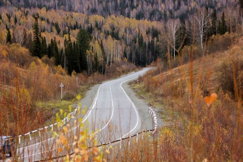 Ruduo, Kelias, Rudens Miškas