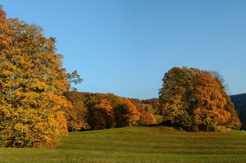 Ruduo, Medžiai, Kraštovaizdis