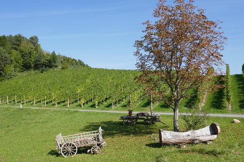 Ruduo,  Kraštovaizdis