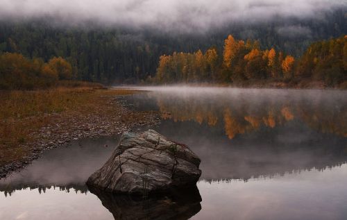 Ruduo, Ežeras, Medžiai