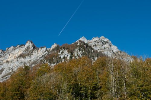 Ruduo, Miškas, Toli, Lapai, Medžiai, Šviesa, Saulė