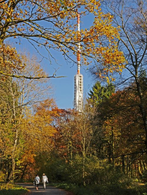 Rudens Miškas, Sauerland, Šiaurinis Ryškus, Siųstuvas, Transmisijos Bokštas, Wdr, Radijas, Žiūrėti Televizorių, Fm, Dab, Svetainė, Pastoliai, Saulėtas, Ebbe Kalnai, Spalvinga, Geltona, Ruda, Mišrus Miškas, Kritimo Spalva, Kritimo Lapai, Šviesus, Highlands, Purvo Kelias, Höhenweg