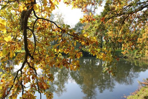 Rudens Medis, Vanduo, Parkas, Gamta, Atsipalaidavimas, Lapija, Ruduo