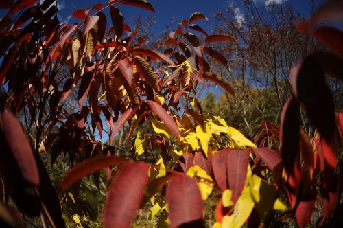 Rudens Lapai, Ruduo, Kalnas