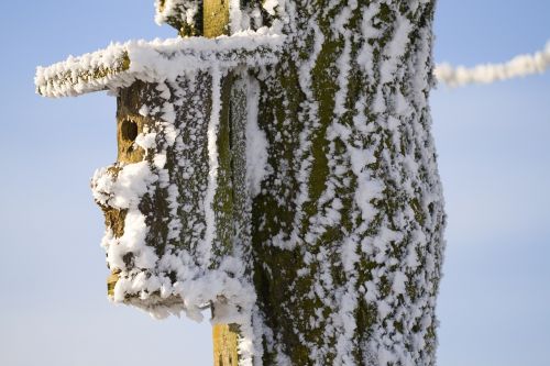 Aviary, Auskaras, Gyvenama Struktūra, Žiema, Atostogos