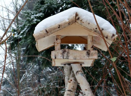 Aviary, Miškas, Žiema, Prieglobstis, Žiemą, Sniegas, Paukščių Maitintojas