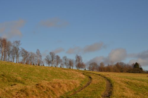 Toli, Laukas, Pieva, Debesys Mėlynas, Medžiai, Žolė, Atsipalaidavimas, Gamta