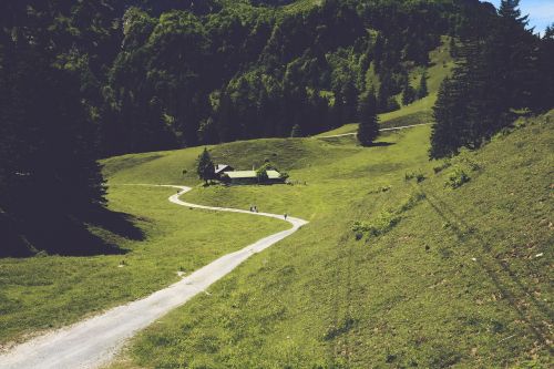 Toli, Žygiai, Gamta, Žolė, Kalnai, Miškas, Medžiai