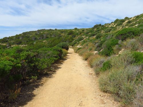 Toli, Takas, Kraštovaizdis, Kraštovaizdžio Kelias, Juostos, Meditacija, Vaikščioti, Keisti Weg, Pėsčiomis, Panorama, Mediteran, Viduržemio Jūros, Romantiškas, Maljorka, Sala, Saulė, Gamta, Šventė