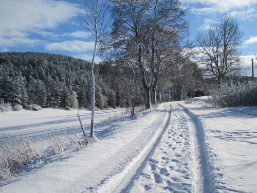 Toli, Žiema, Sniegas, Gamta, Balta