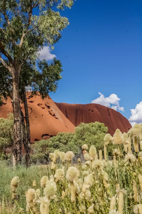 Ayers Rock, Uluru, Australia, Gamta