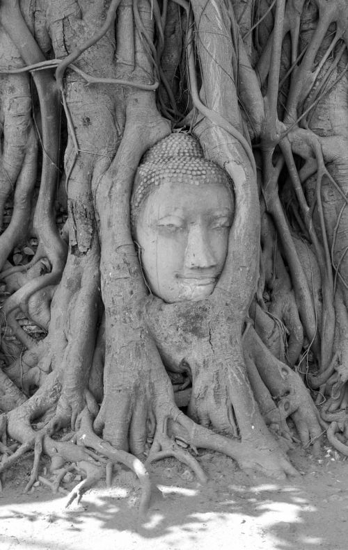 Ayutthaya, Buda, Budizmas, Asija, Veidas, Šventykla, Poilsis, Dvasinis, Meditacija