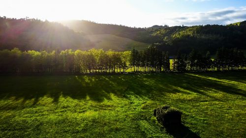 Azores, Saulėtekis, Pieva, Kraštovaizdis, Gamta, Rūkas, Žolė, Nuotaika, Augalas, Žolės, Atgal Šviesa, Šviesa, Morgenrot, Morgenstimmung, Rytas, Saulė, Medis, Vaizdingas, Atmosfera, Saomiguel