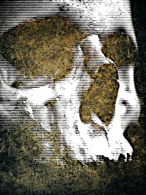Fono Paveikslėlis,  Kaukolė Ir Skersmens Kaulai,  Abstraktus,  Creepy