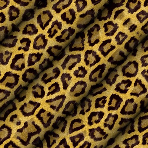 Fonas,  Leopardas,  Gyvūniniai & Nbsp,  Motyvai,  Leopardo Fonas # 3