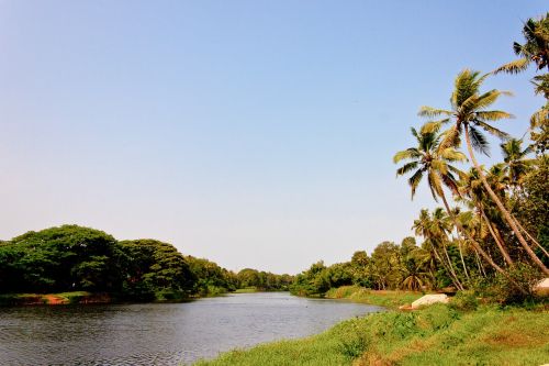 Griuvėsiai, Indija, Kerala, Vanduo, Delnas