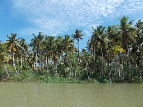 Griuvėsiai,  Poovar,  Trivandrum,  Kerala,  Ežeras