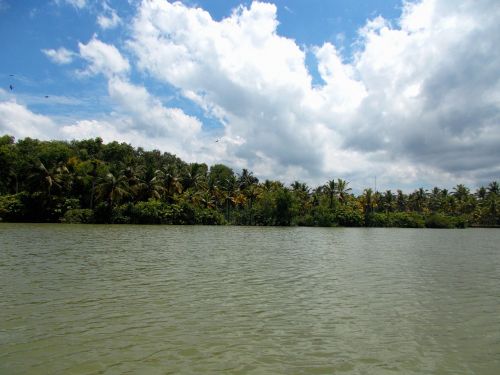 Griuvėsiai,  Ežeras,  Kokoso Medžiai,  Trivandrum,  Kerala