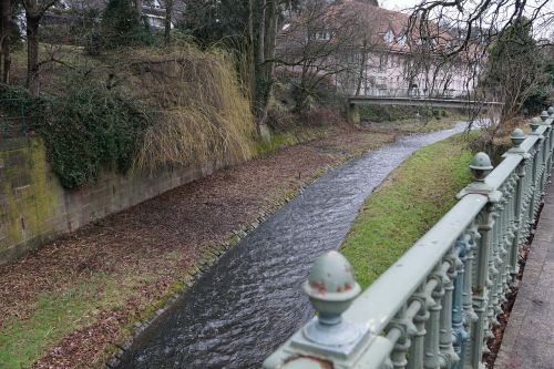 Baden Baden, Parkas, Gamta, Bachas