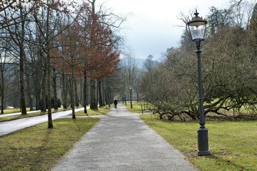 Baden Baden, Parkas, Gamta