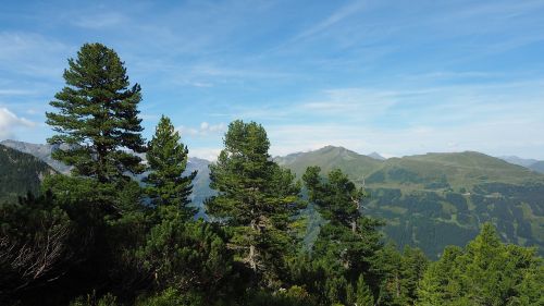 Badgasteinas, Zirbenweg, Žygiai, Gamta, Gastein, Austria