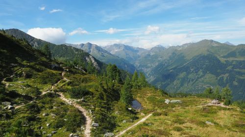 Badgasteinas, Zirbenweg, Žygiai, Gamta, Gastein, Austria