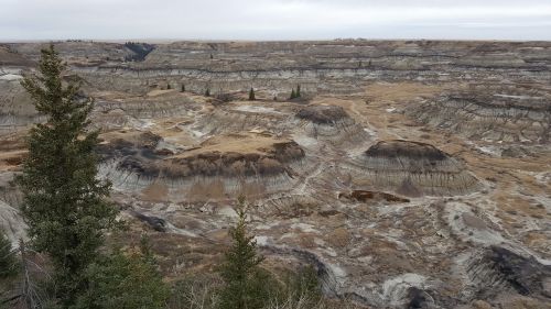 Badlands, Sausas Upių Sluoksnis, Alberta, Drumheller, Kanada, Senovės, Fosilijos, Iškastinis, Dinozaurai, Paleontologija
