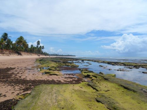Bahia, Apleistas Paplūdimys, Stiprus Paplūdimys, Brazilija