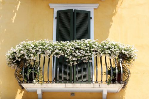 Balkonas, Augalas, Balkonų Augalai, Italy