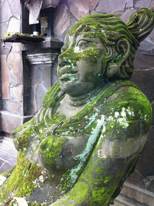 Bali, Statula, Akmuo, Ubud, Akmens Figūra