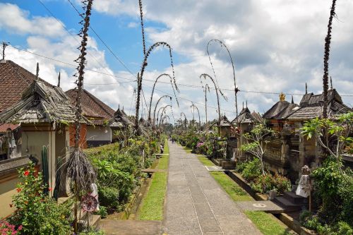Bali, Indonezija, Kelionė, Kaimas, Penglipuranas, Unesco Pasaulio Paveldas, Tradiciškai
