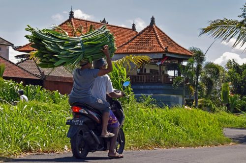 Bali, Indonezija, Kelionė, Motociklas, Motociklininkas
