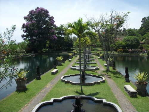 Bali, Indonezija, Asija, Sodas, Gamta, Medis, Žalias, Kelionė, Kultūra