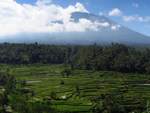 Bali, Vulkanas, Ryžių Laukai