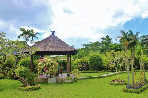 Bali, Orchidėjų Sodas, Flora, Atogrąžų, Sala, Indonezija