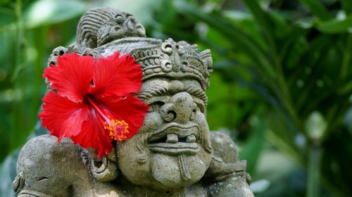 Bali,  Gamta,  Augalas,  Be Honoraro Mokesčio