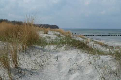 Baltijos Jūra, Gamta, Smėlio Kopa, Papludimys, Vokietija