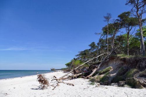Baltijos Jūra, Vakarinis Paplūdimys, Fischland-Darss, Nacionalinis Parkas