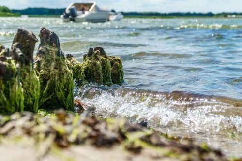 Baltijos Jūra, Papludimys, Jūra, Kranto, Baltijos Jūros Pakrantė, Bankas