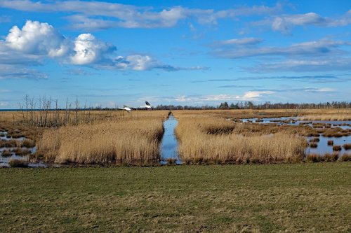 Baltijos Jūra,  Darß,  Pobūdį,  Fischland,  Zingst,  Reed,  Dangus,  Debesys,  Sundische Wiese,  Natureconservation