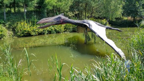 Baltai, Jūros Periodo Parkas, Pterosauras, Dinozauras, Maketas